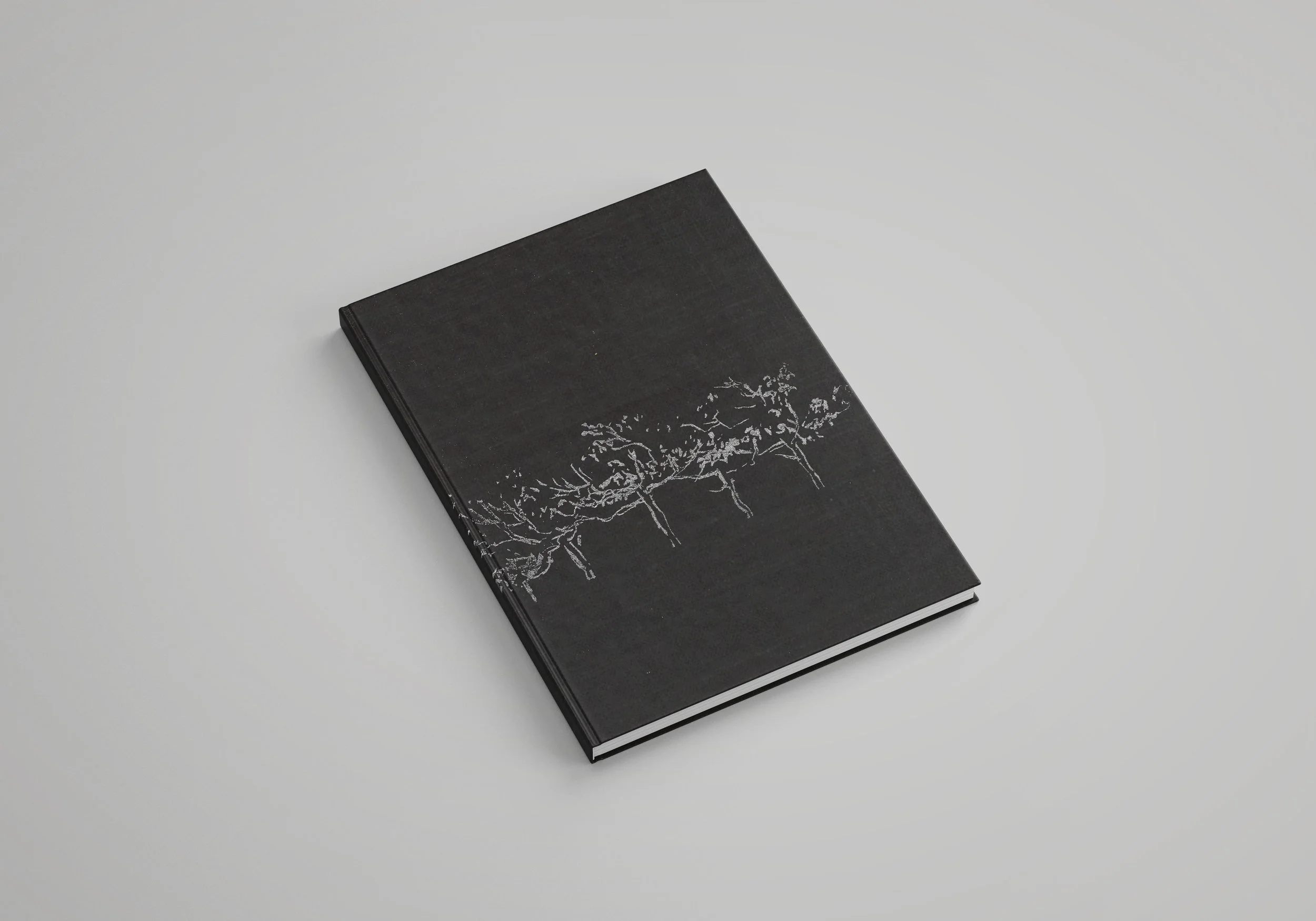 The Louis I. Kahn Facsimile Project